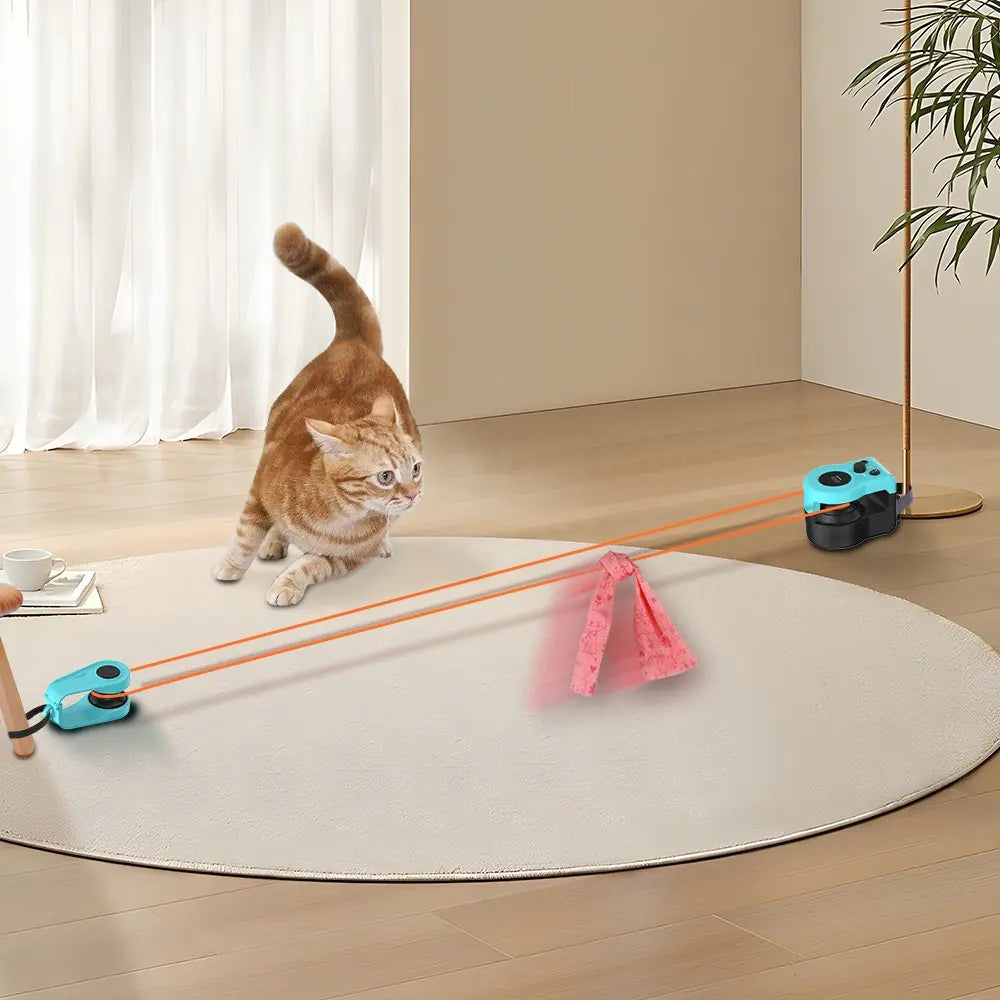 Cat Remote Control Weight Loss Toy