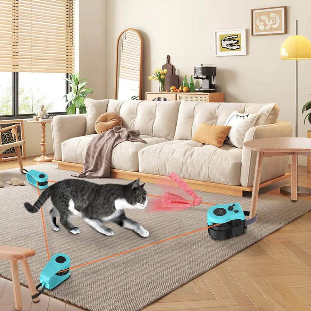 Cat Remote Control Weight Loss Toy
