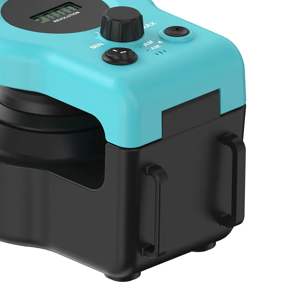 Cat Remote Control Weight Loss Toy