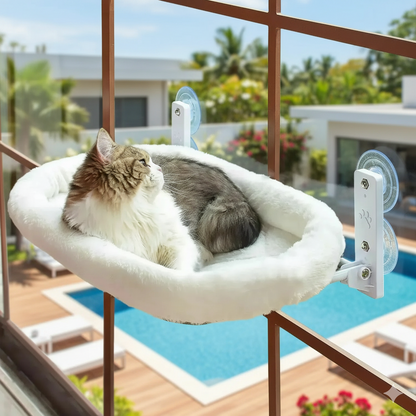 Cama ventana para gatos